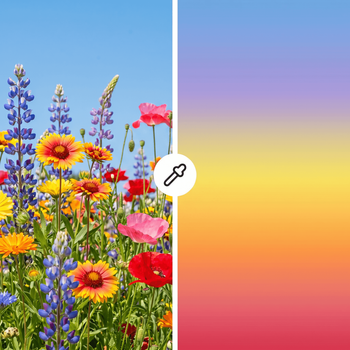 Color Palette Transfer — Trending AI template